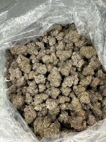 Indoor-grown exotic THCA flower demonstrating the superior quality and freshness standards maintained by BakeBoxx
