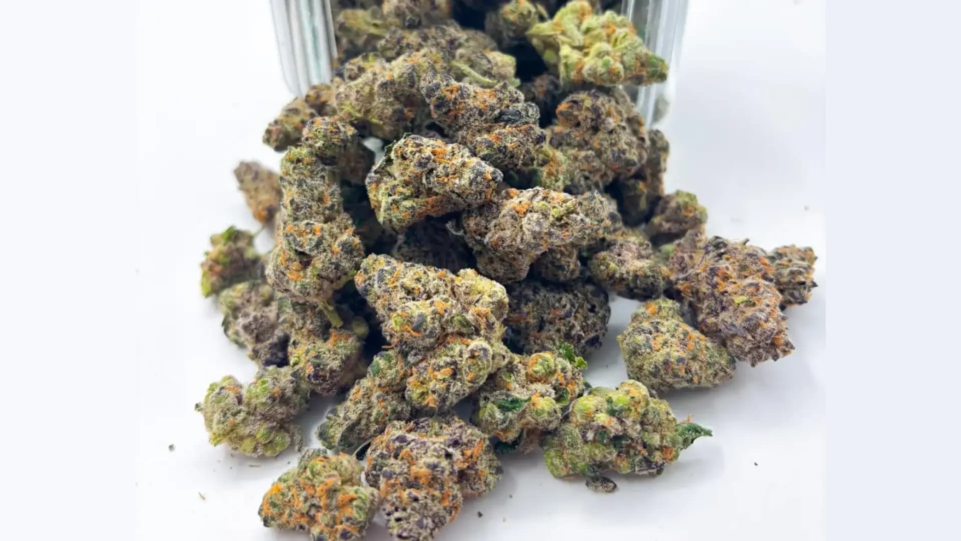 Best Exotic THCA Flower 2025 - BakeBoxx blog article