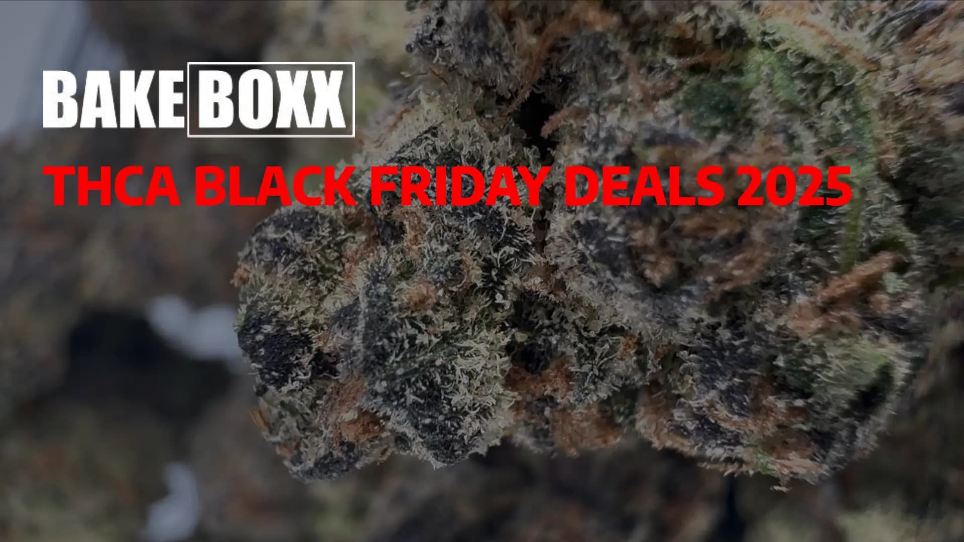 THCA Flower Black Friday — Save on Online Orders - BakeBoxx blog article