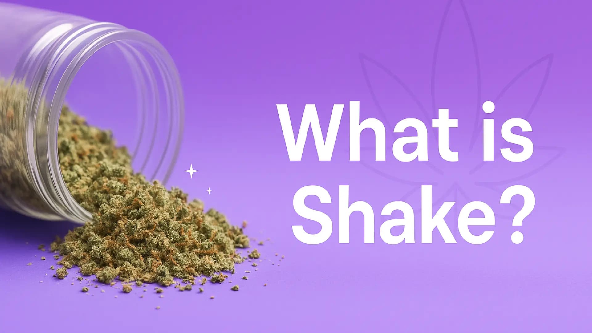 What is Shake Cannabis? Uses & Benefits - BakeBoxx blog article