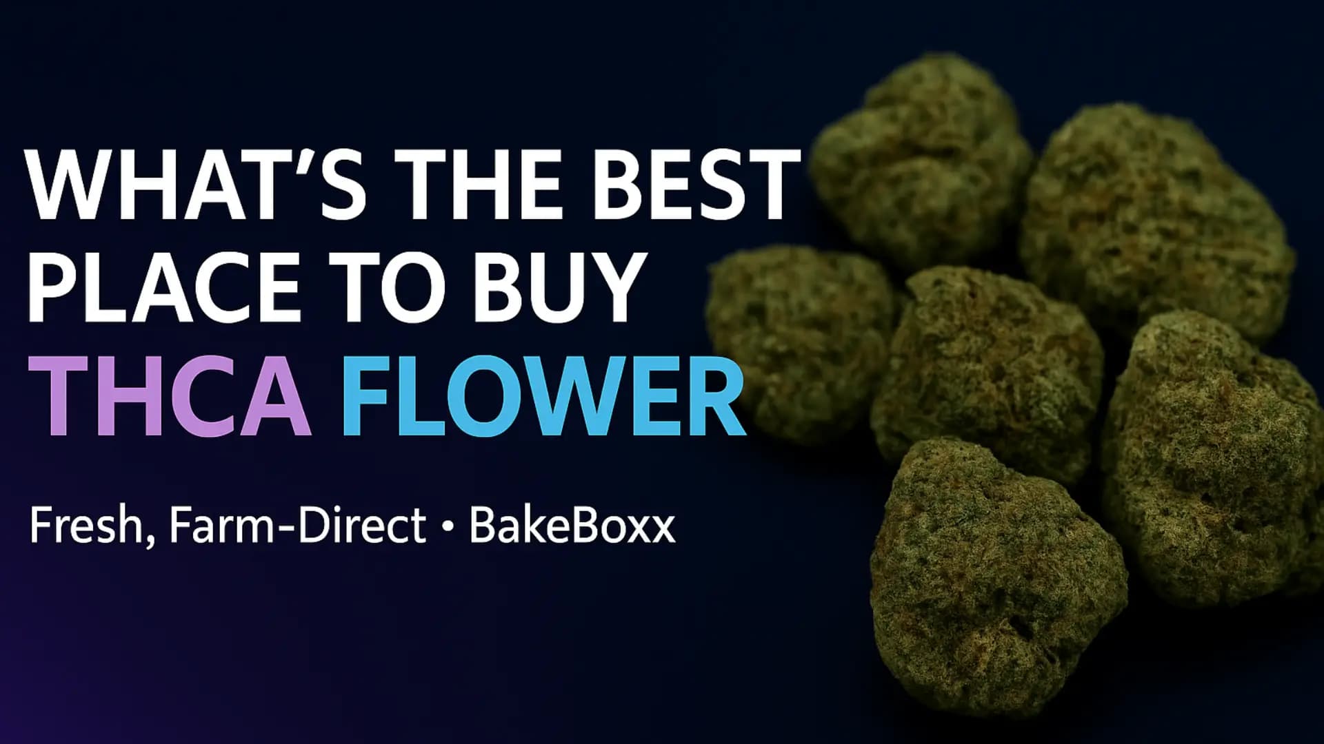 Best Place to Buy THCA Flower - BakeBoxx blog article