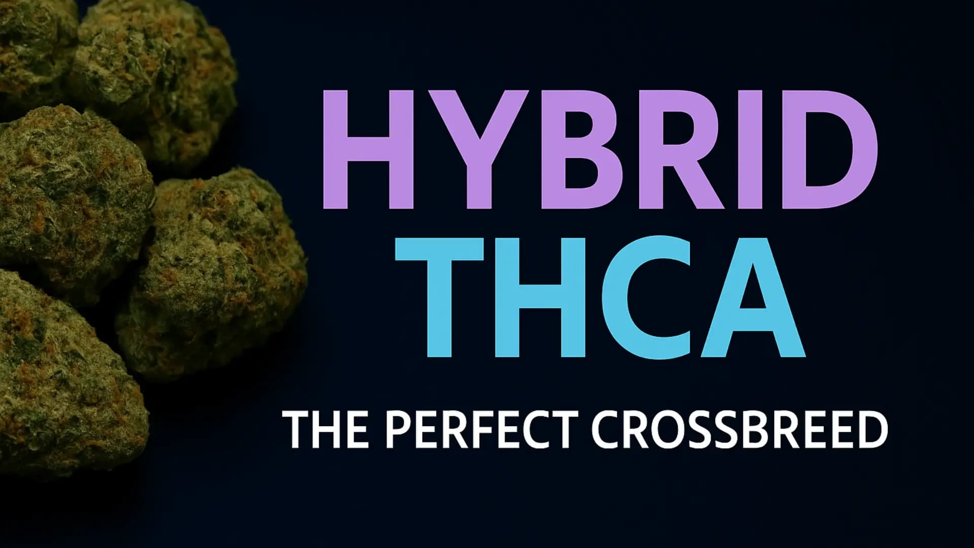 THCA Hybrid Flower - BakeBoxx blog article