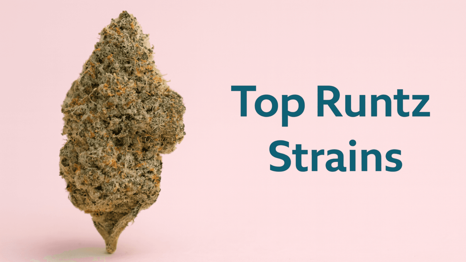 Best Runtz Strains: The Ultimate List🌈🔥 - BakeBoxx blog article