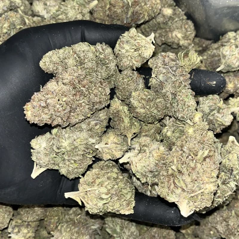 Greenhouse THCa Flower category image