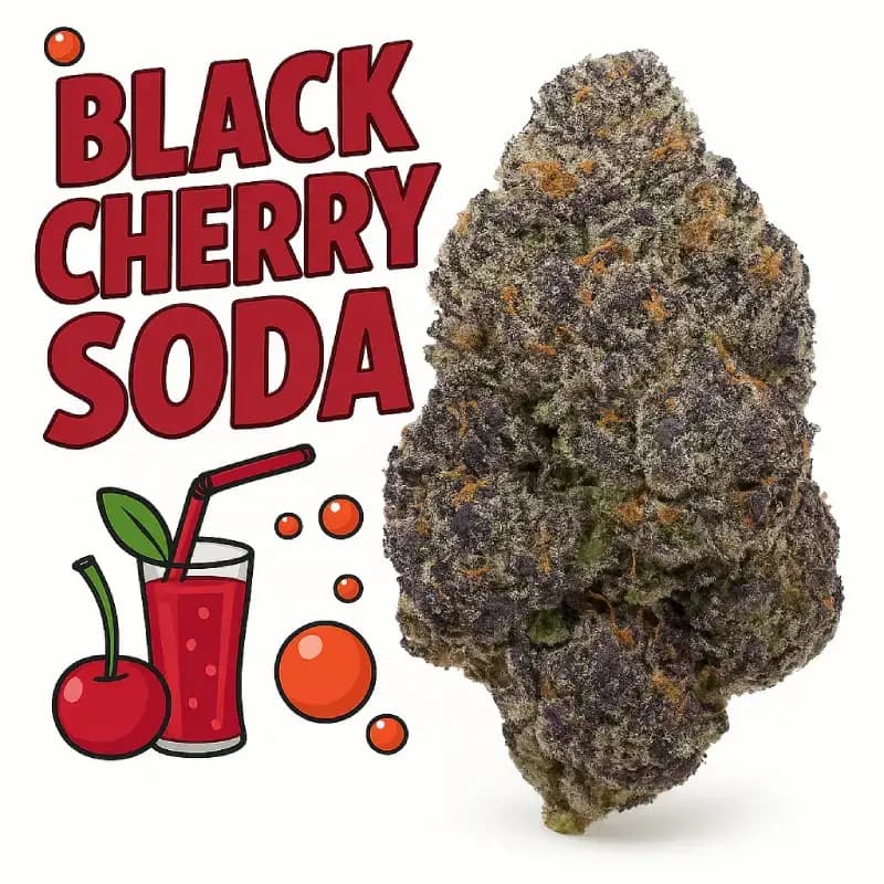 Black Cherry Soda Exotic THCa Flower