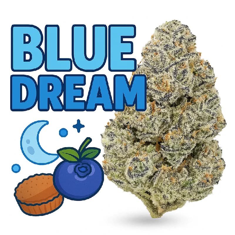 Blue Dream Indoor THCa Flower