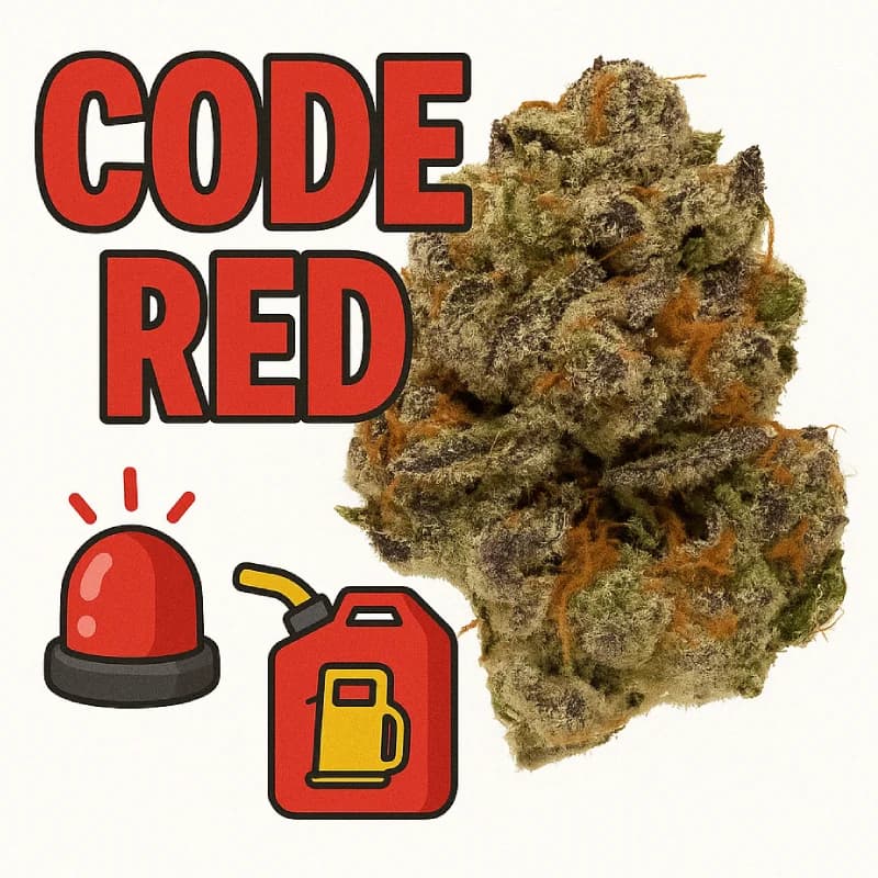 Code Red Greenhouse THCa Flower