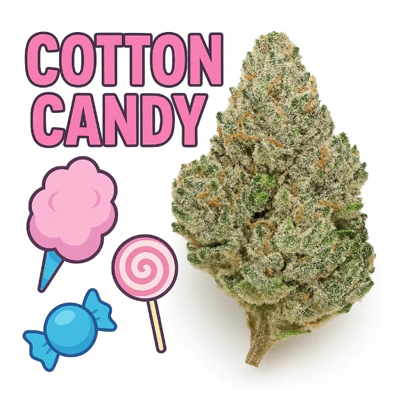 Cotton Candy Indoor THCa Flower