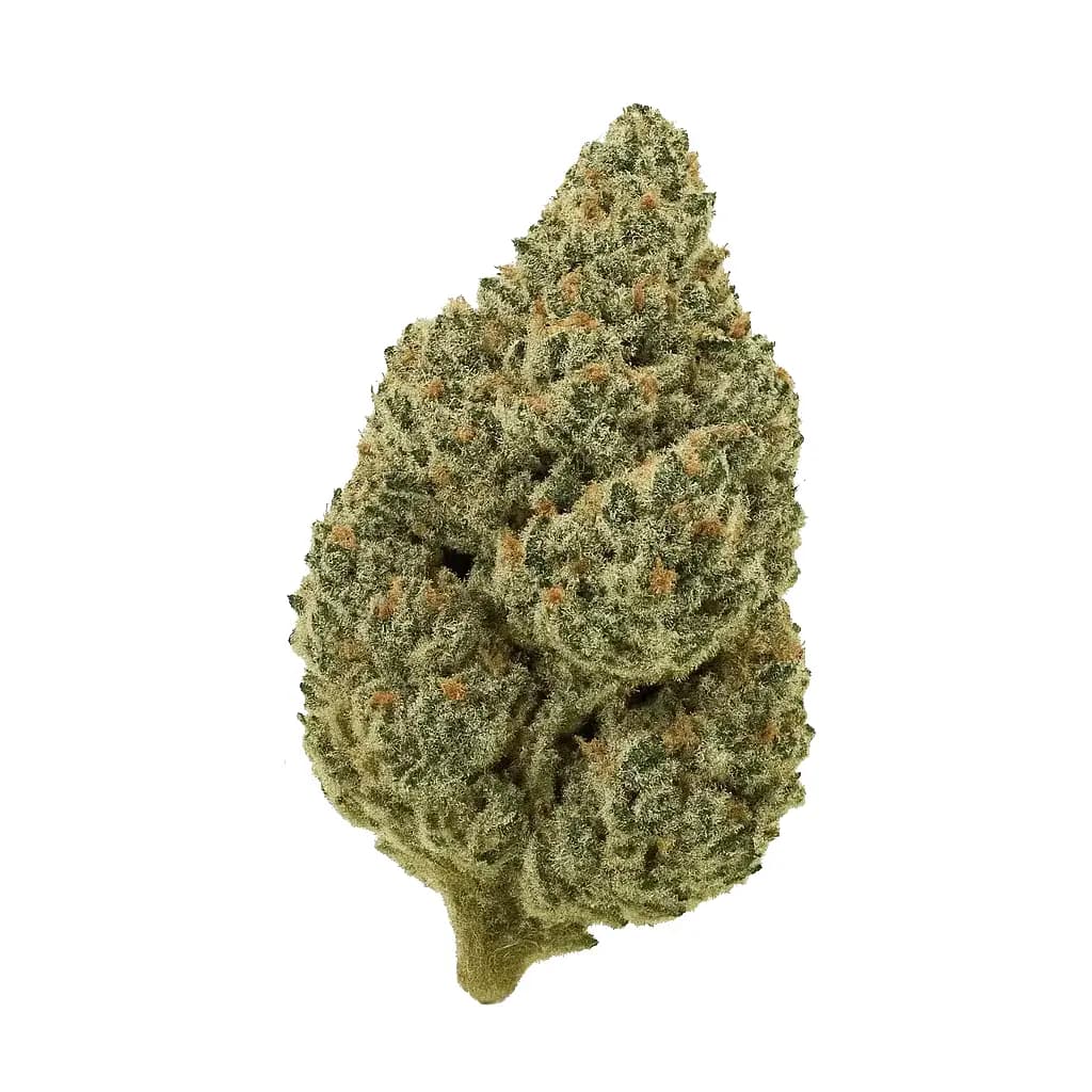 Illuminati OG Indoor THCa Flower