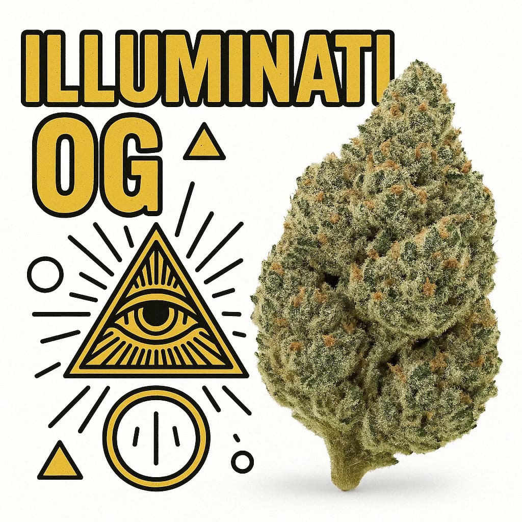 Illuminati OG Indoor THCa Flower