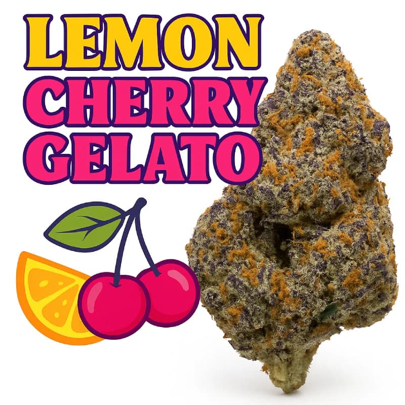 Lemon Cherry Gelato Exotic THCa Flower