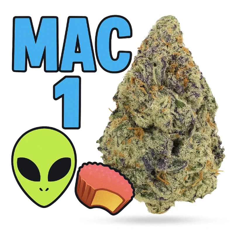Mac 1  Indoor THCa Flower
