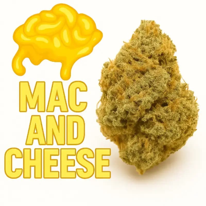 Mac & Cheese Exotic THCa Flower Strain