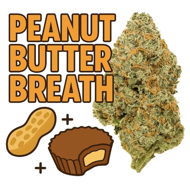 Peanut Butter Breath Indoor THCa Flower