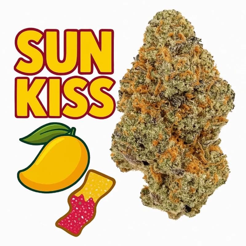 Sun Kiss Exotic THCa Flower Strain