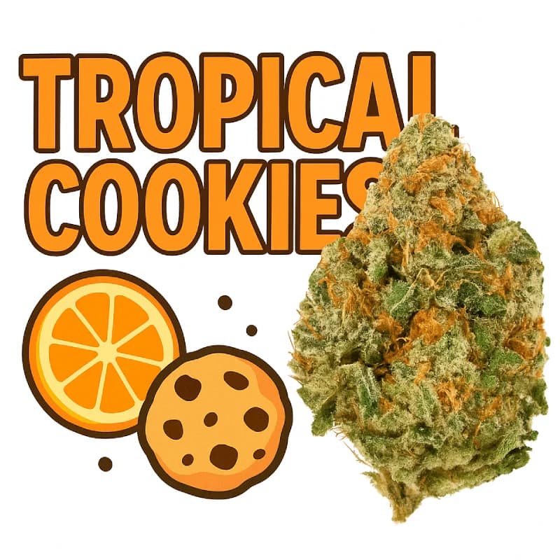Tropical Cookies Greenhouse THCa Flower