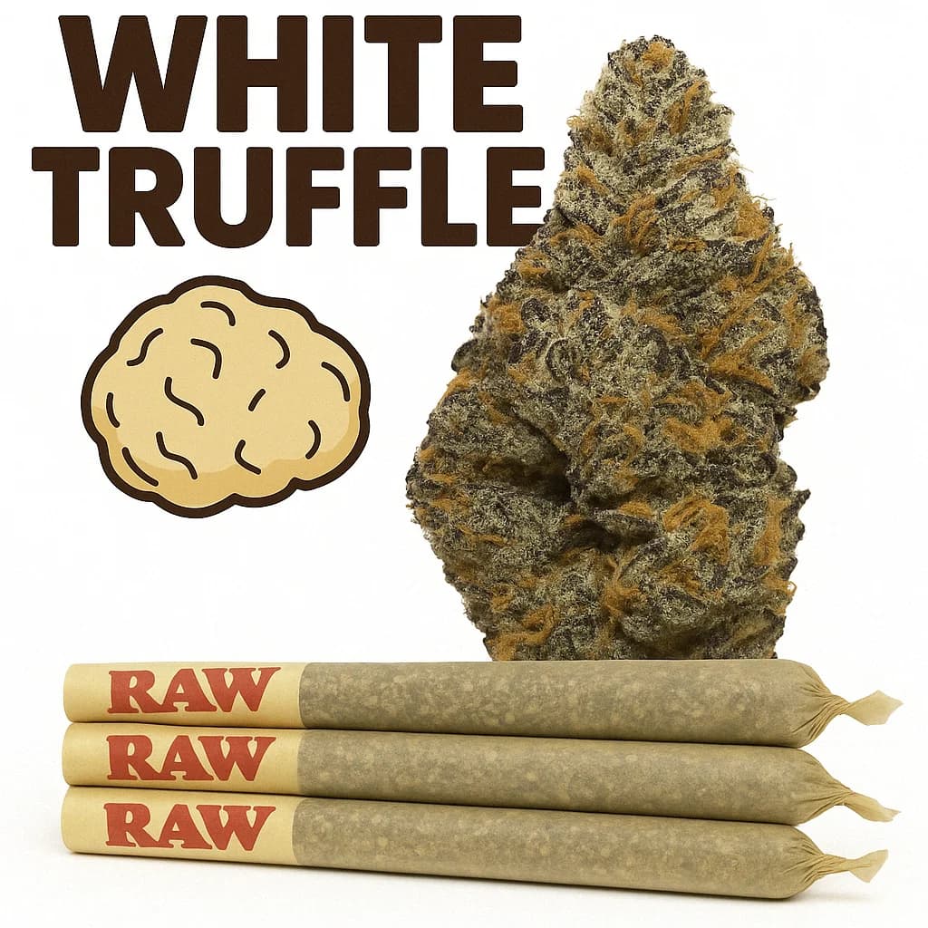 White Truffle