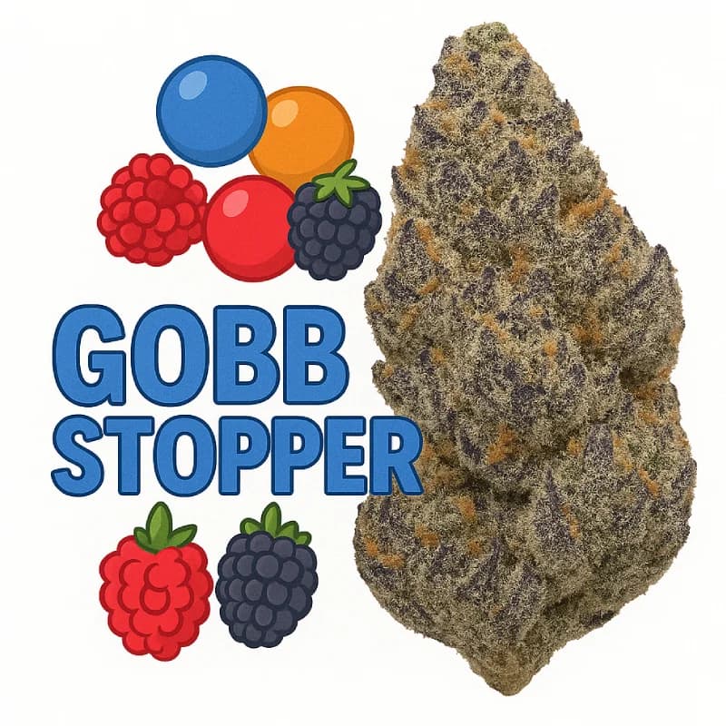 GobbStopper Exotic THCa Flower