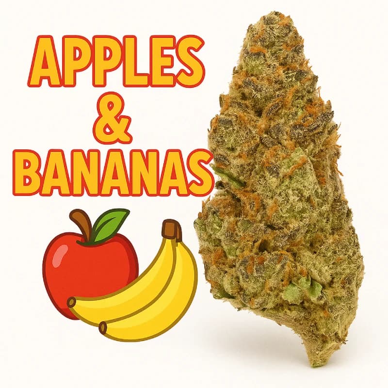 Apples & Bananas Greenhouse THCa Flower