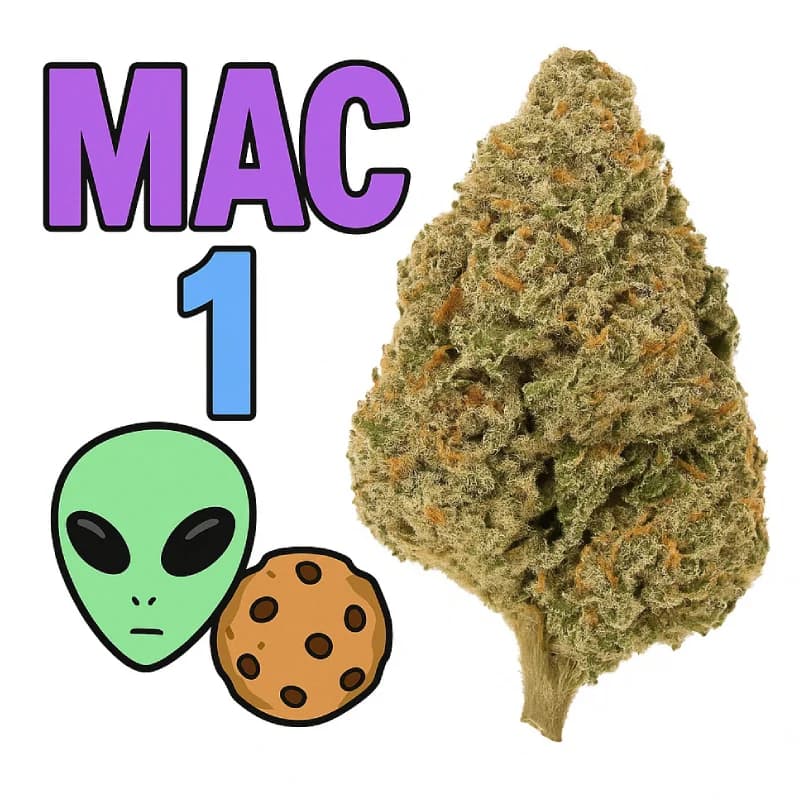Mac 1 Greenhouse THCa Flower