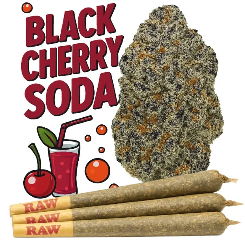 Black Cherry Soda Diamond Infused THCa Pre roll (1.5g)