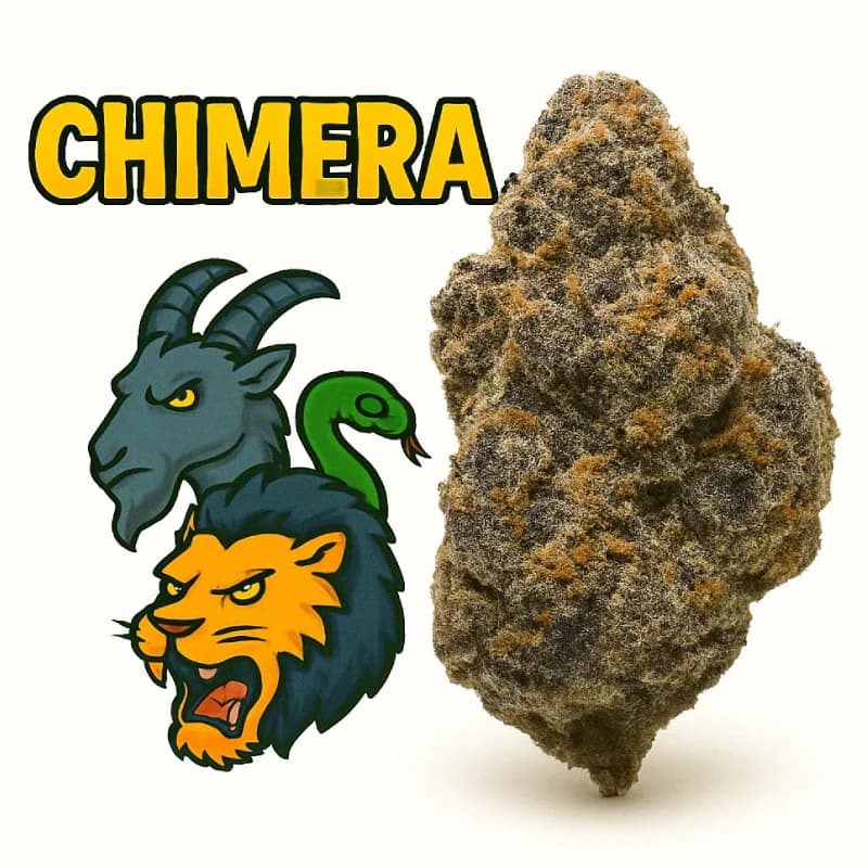 Chimera Indoor THCa Flower