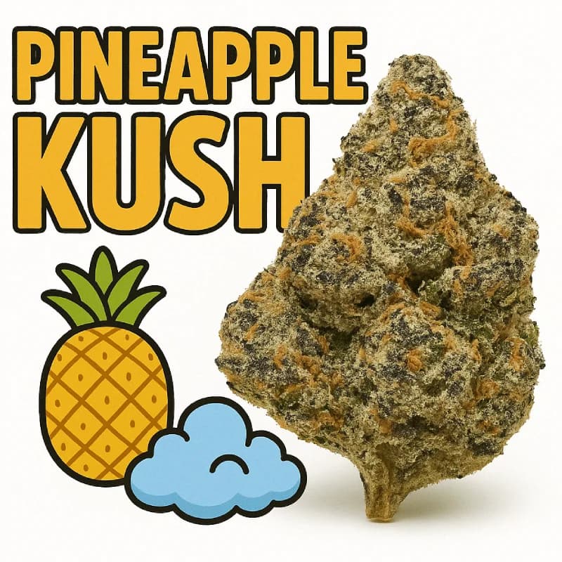 Pineapple Kush Indoor THCa