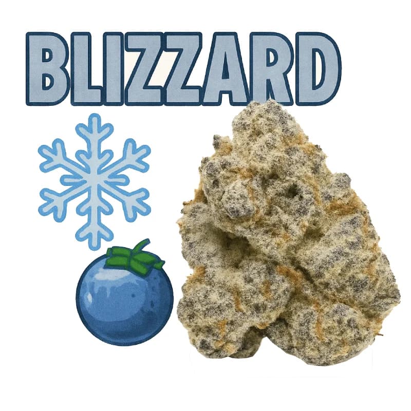 Blizzard Indoor THCa Flower