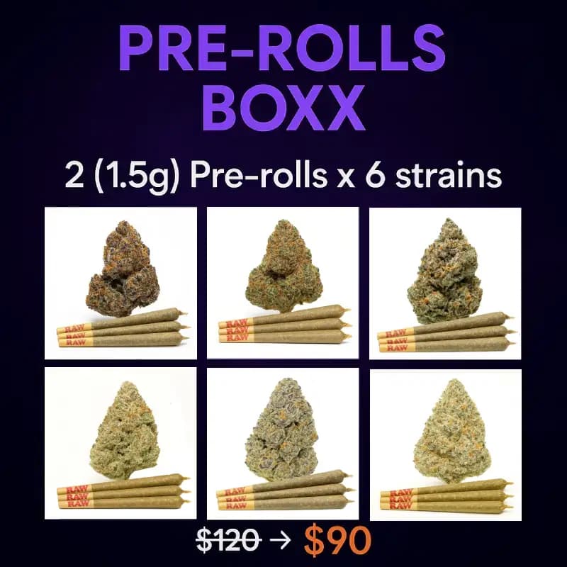 Diamond Infused THCa Pre Roll Boxx (1.5g) (2 x 6ct)