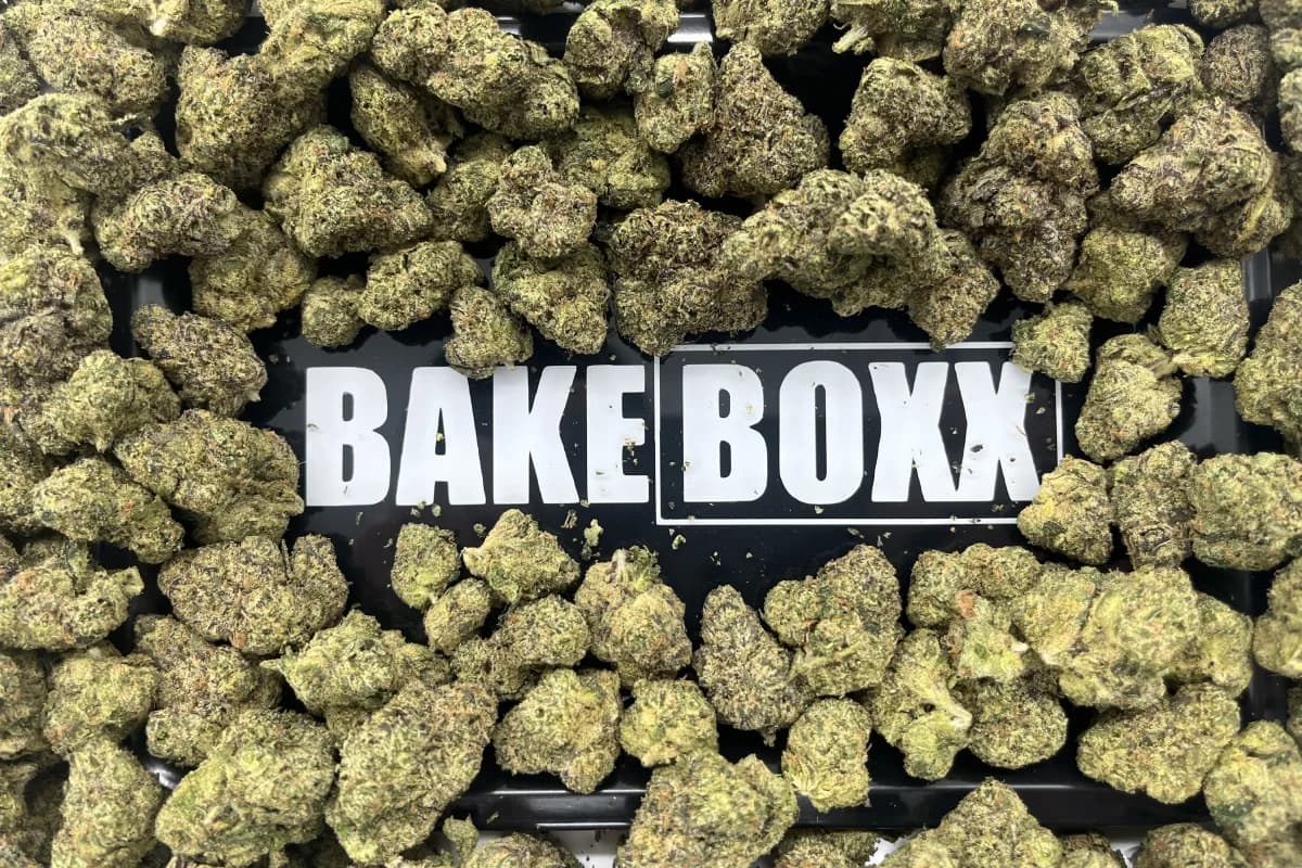 Premium THCA flower collection featuring hand-selected cannabis buds and BakeBoxx branded containers showcasing our lab-tested, fire flower products trusted by smokers who know quality