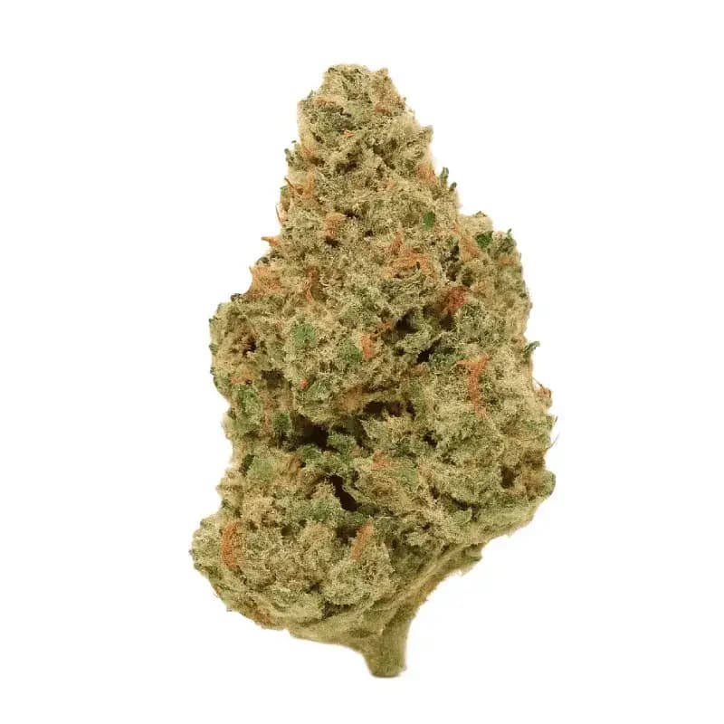 Apple Tarts Greenhouse THCa Flower