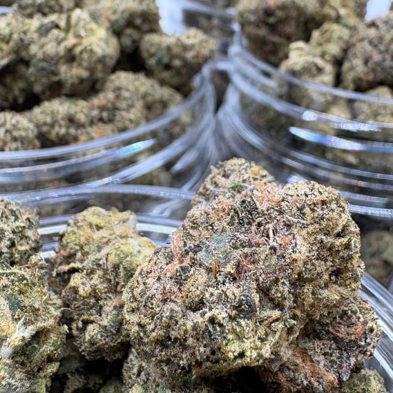 Who is THCA flower for