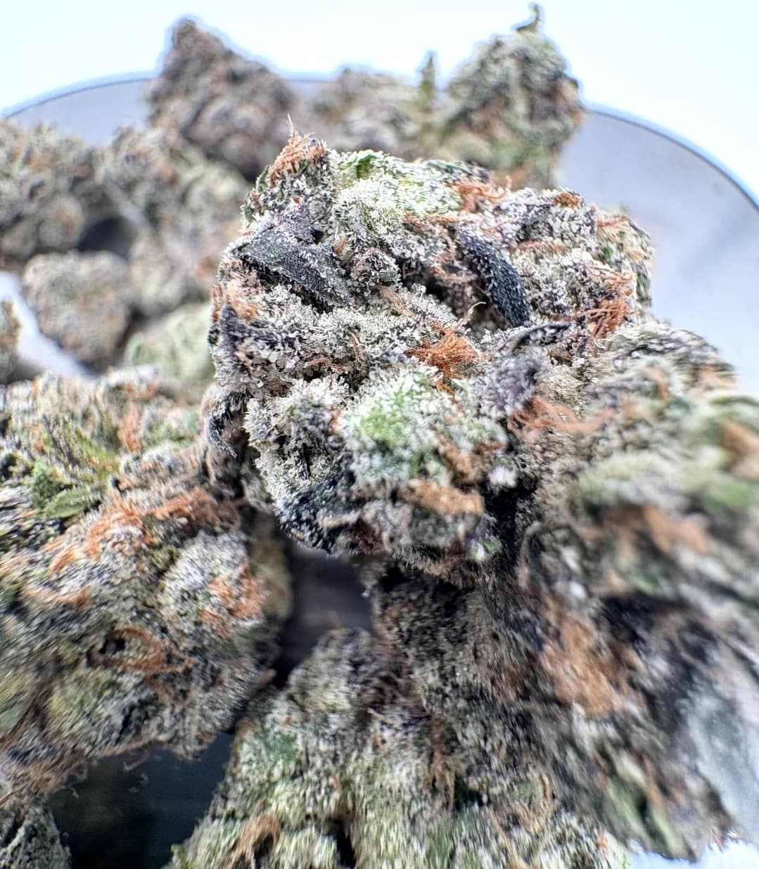 What makes BakeBoxx bulk flower worth it