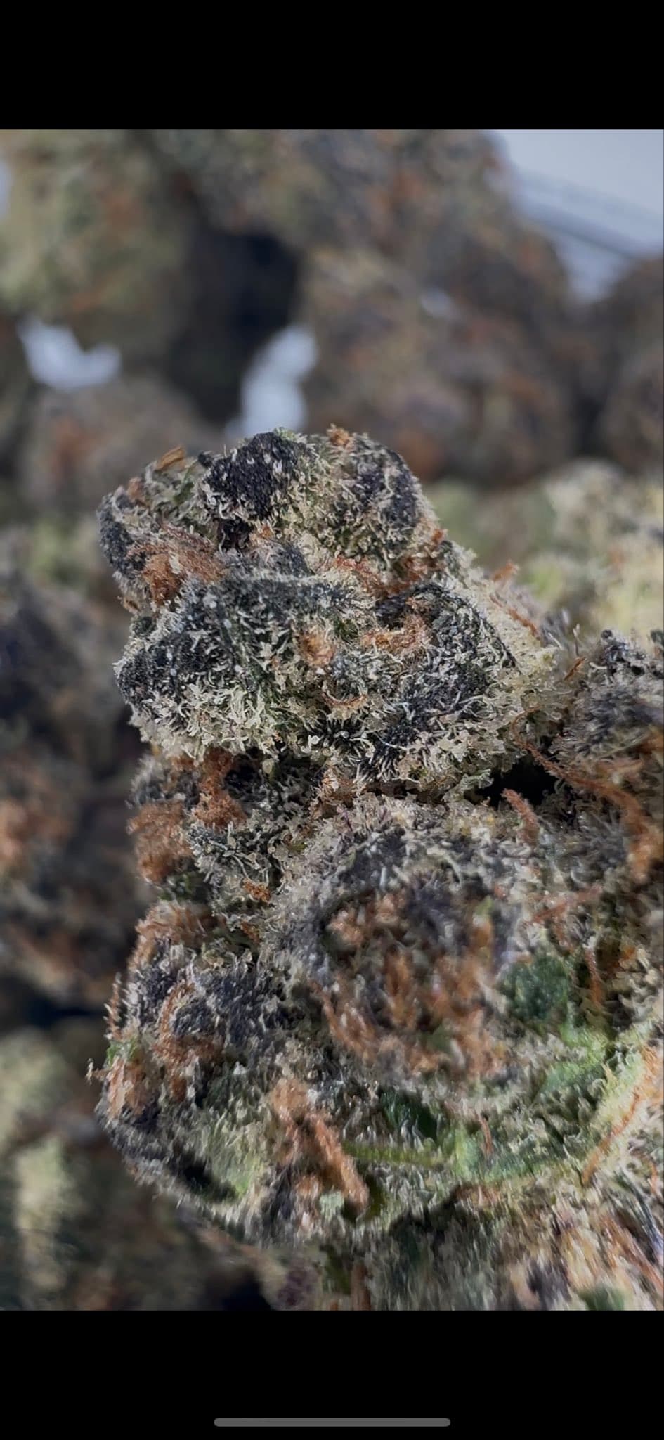 High-quality affordable THCA flower buds