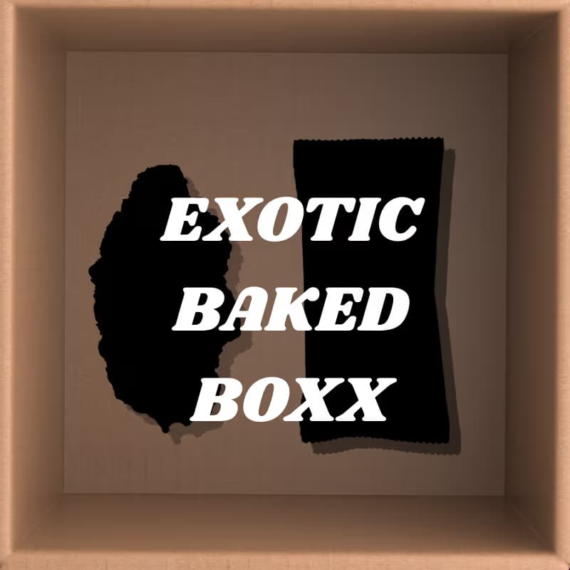 Exotic Baked Boxx Bundle