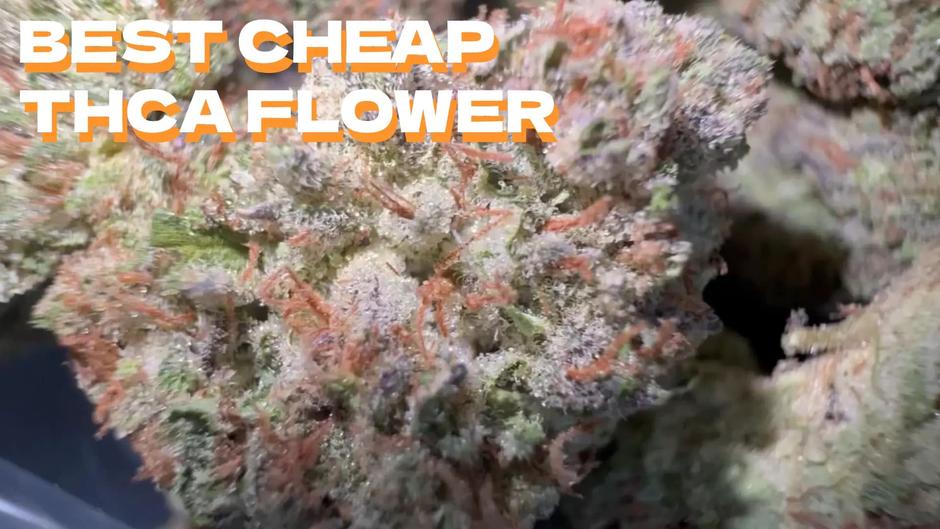 Best Cheap Thca Flower: Value For Your Money π΅ - BakeBoxx blog article