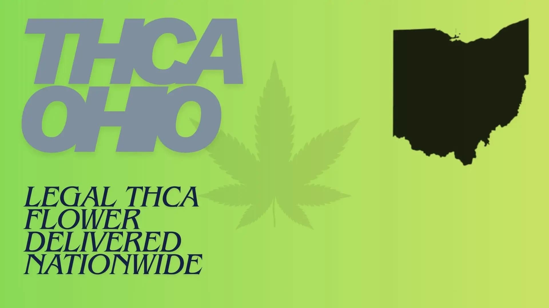 THCA Ohio - BakeBoxx blog article