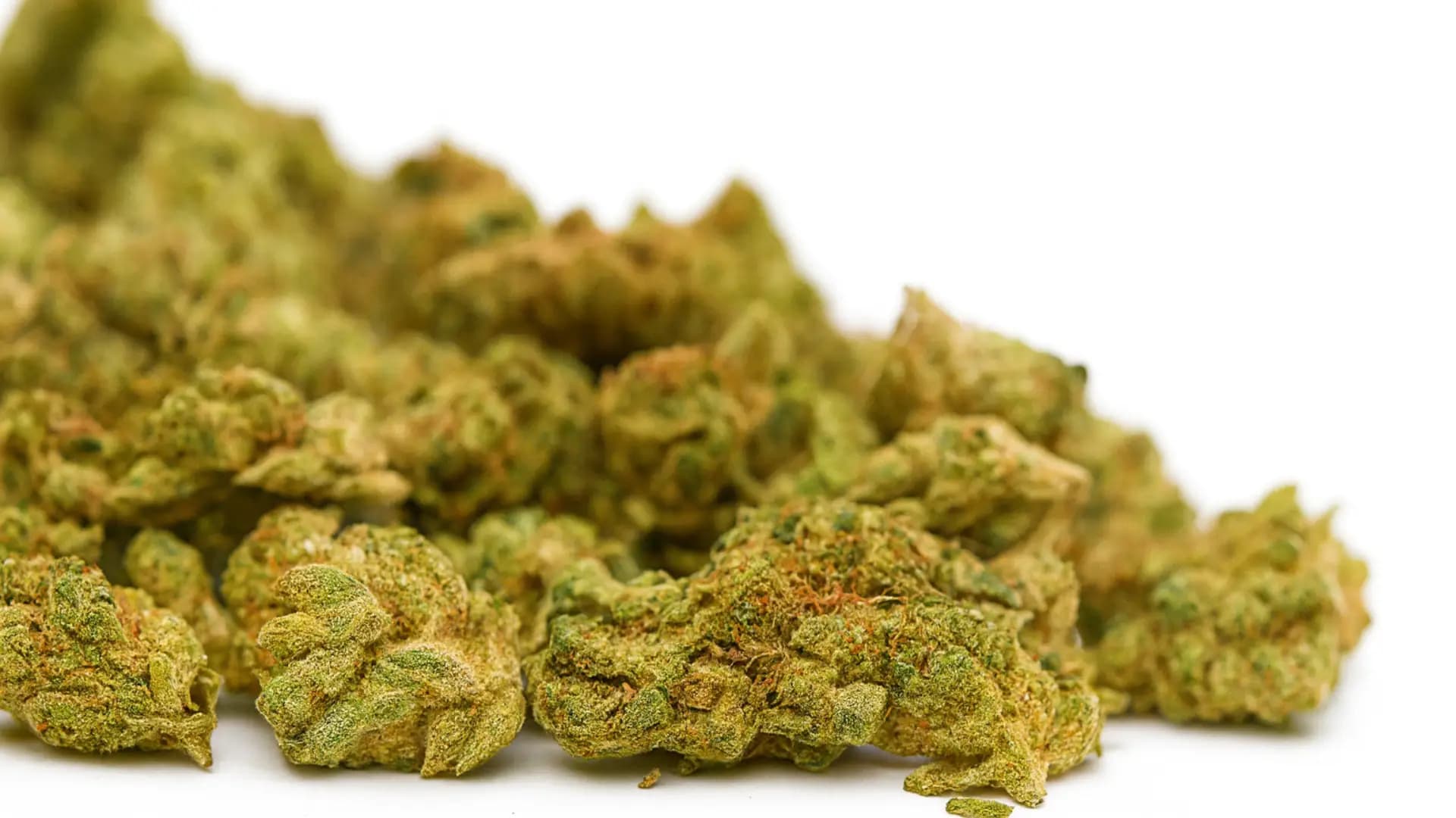 THCA Small Buds: Value For Your Money? - BakeBoxx blog article