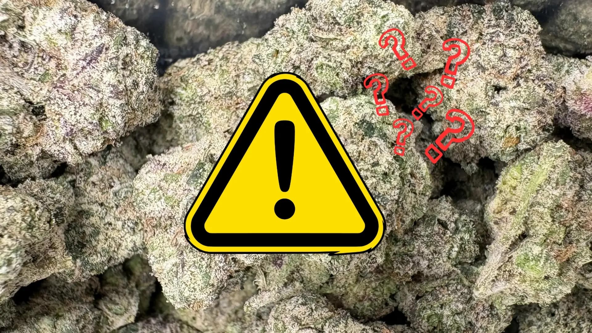 Is THCa Safe to Smoke? - BakeBoxx blog article