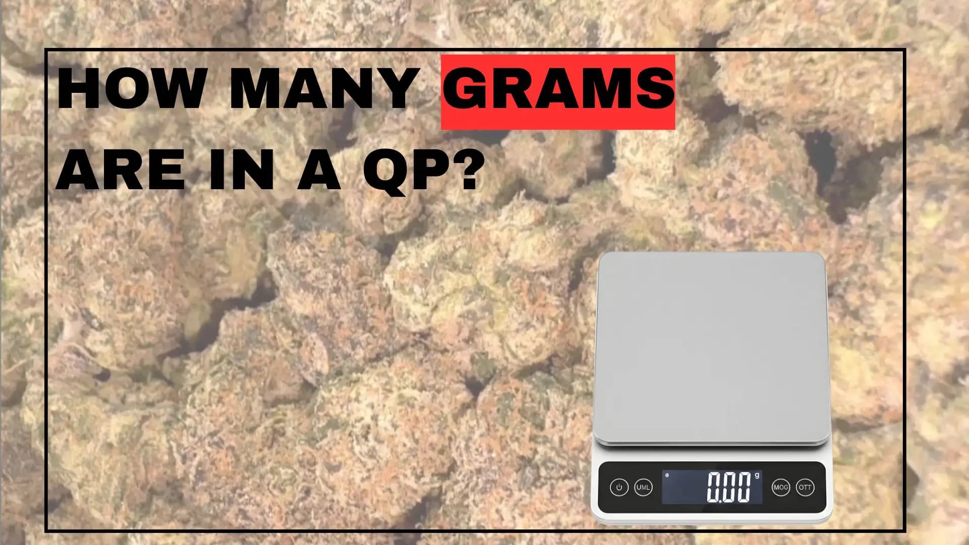 How Many Grams Is A QP? - BakeBoxx blog article