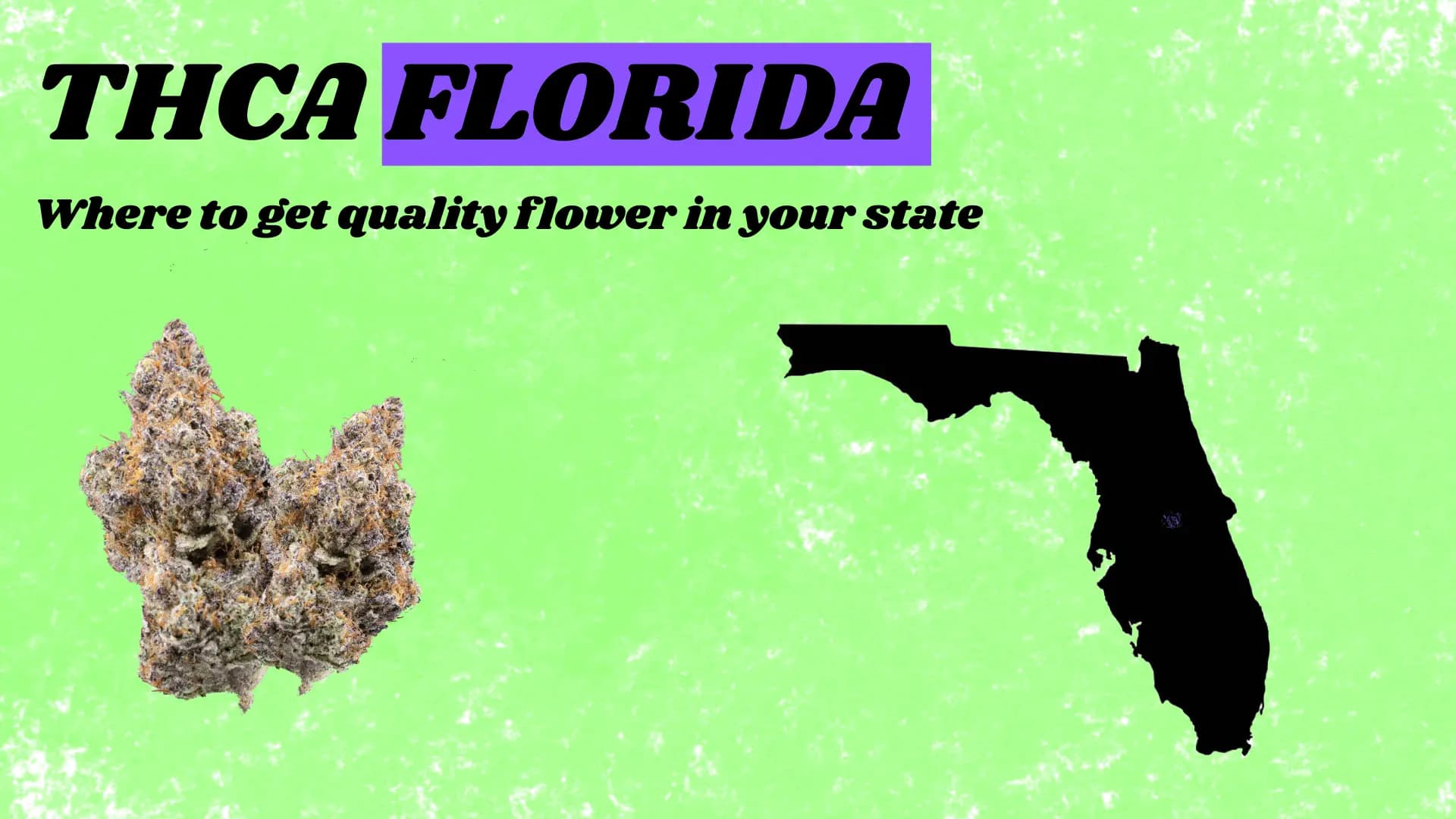 THCA Florida Buying Legal In 2026 - BakeBoxx blog article