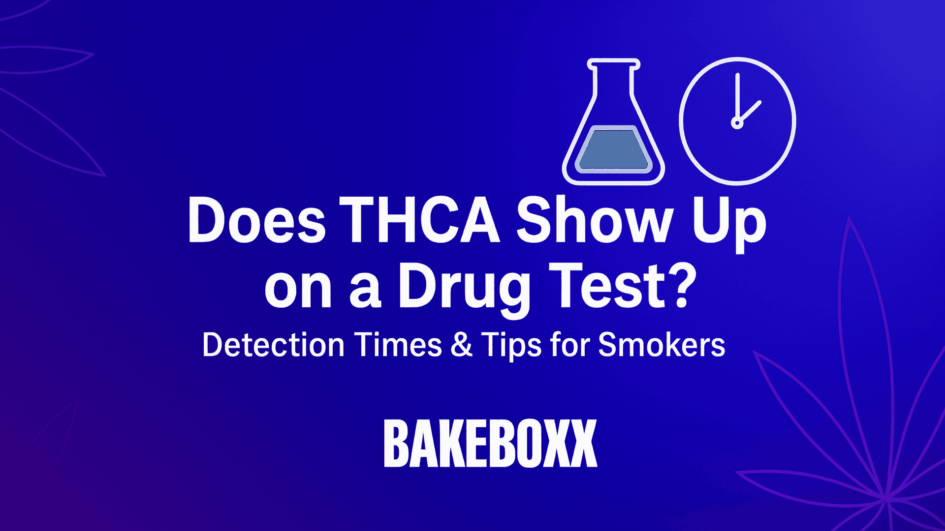 Does THCA Show Up on a Drug Test? - BakeBoxx blog article