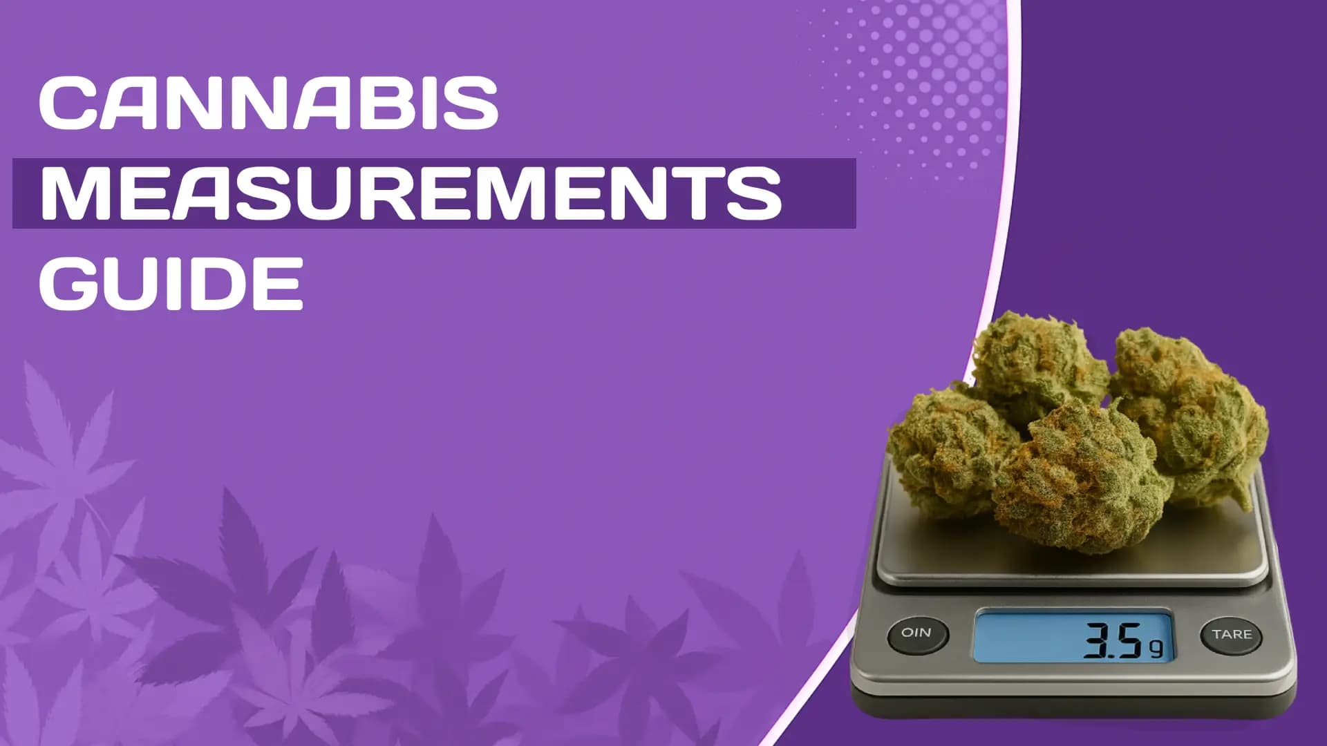 Cannabis Measurements Guide Grams, Eighths, Quarters & More (2025 Guide) πΏπ - BakeBoxx blog article