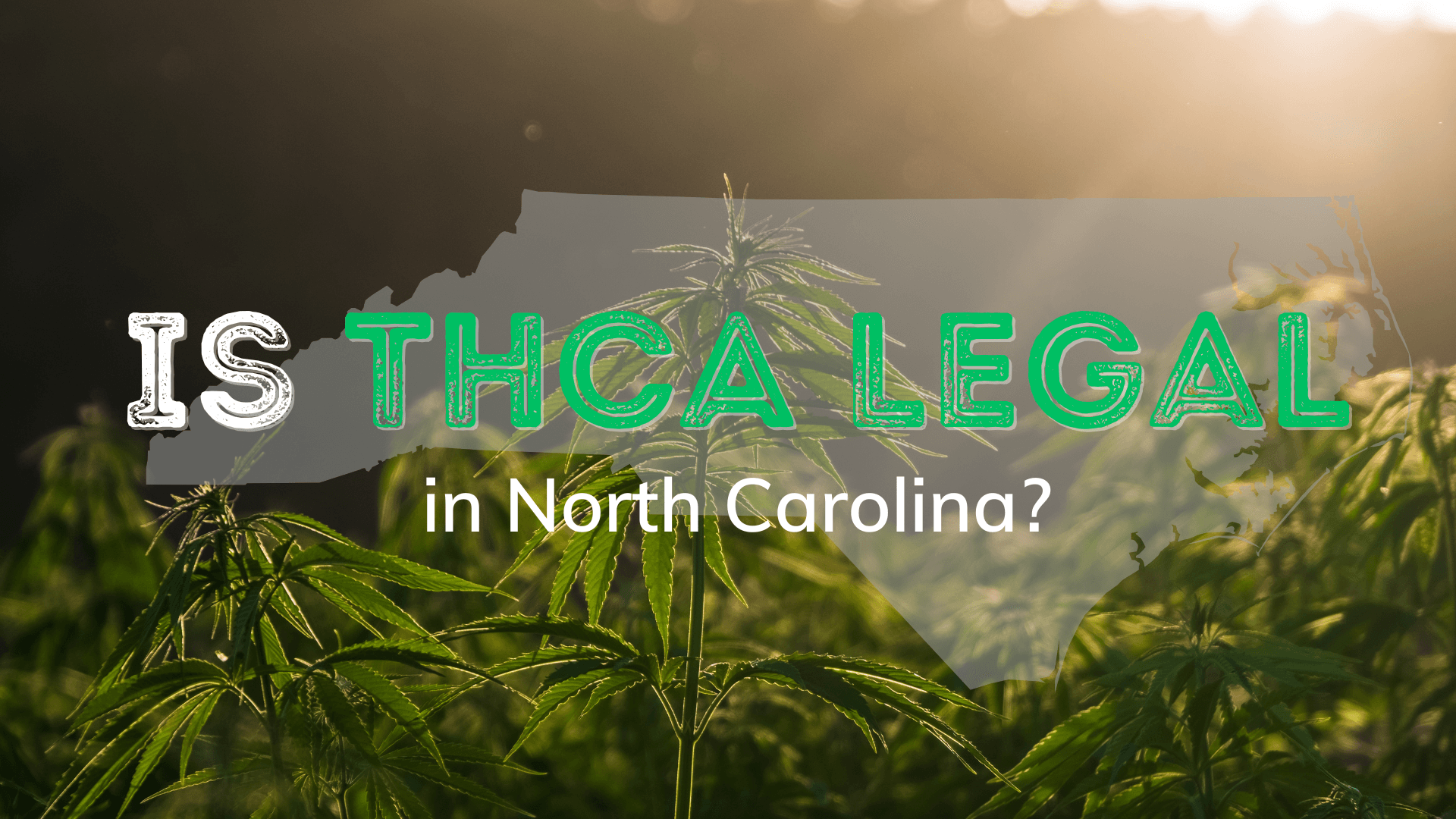 Is THCA Legal in North Carolina? - BakeBoxx blog article