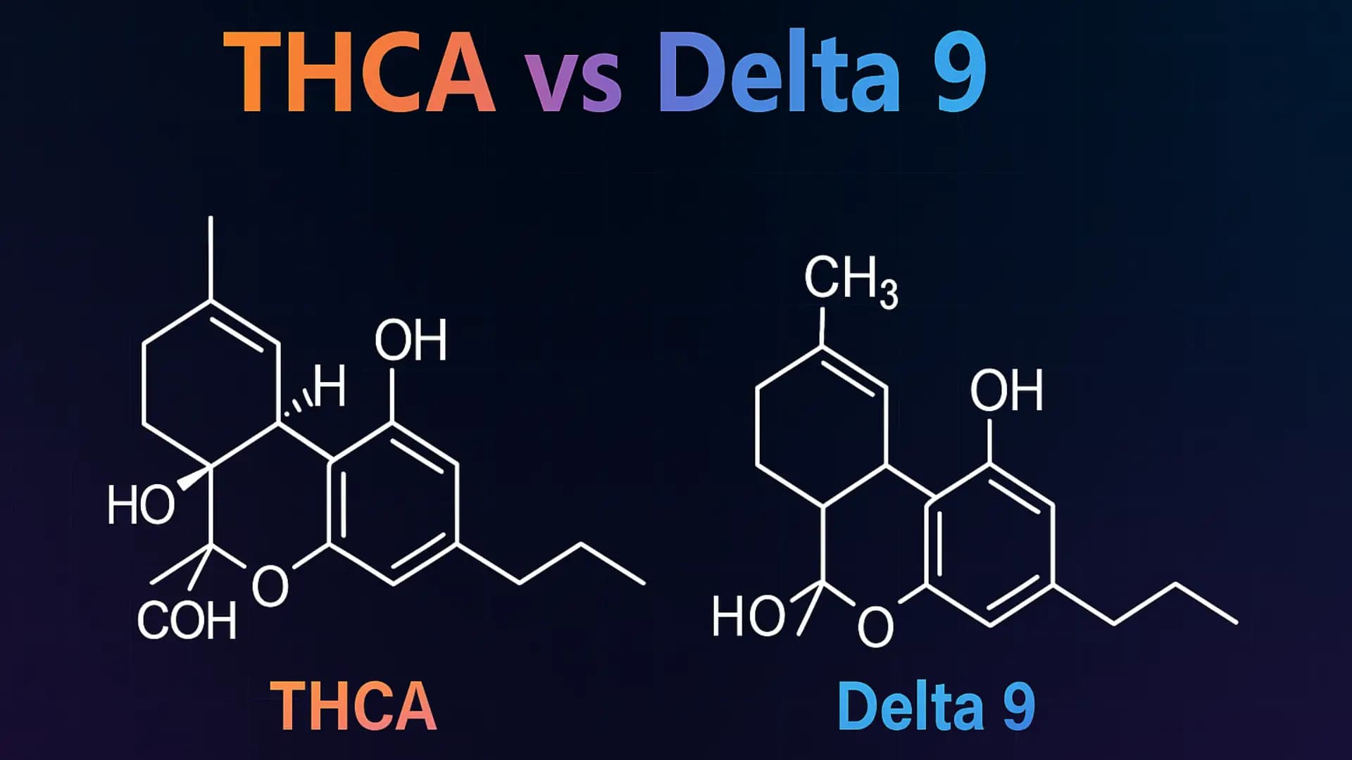 THCA vs Delta 9: What’s the Difference? - BakeBoxx blog article