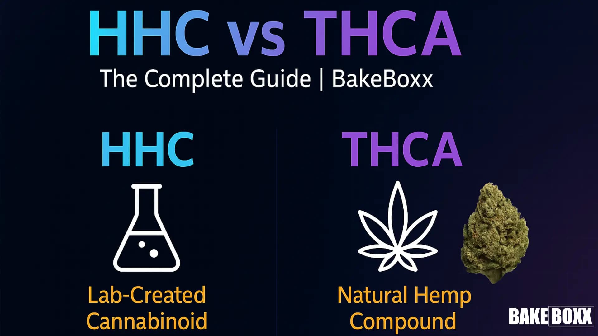 HHC vs THCA: Complete Guide & Differences - BakeBoxx blog article