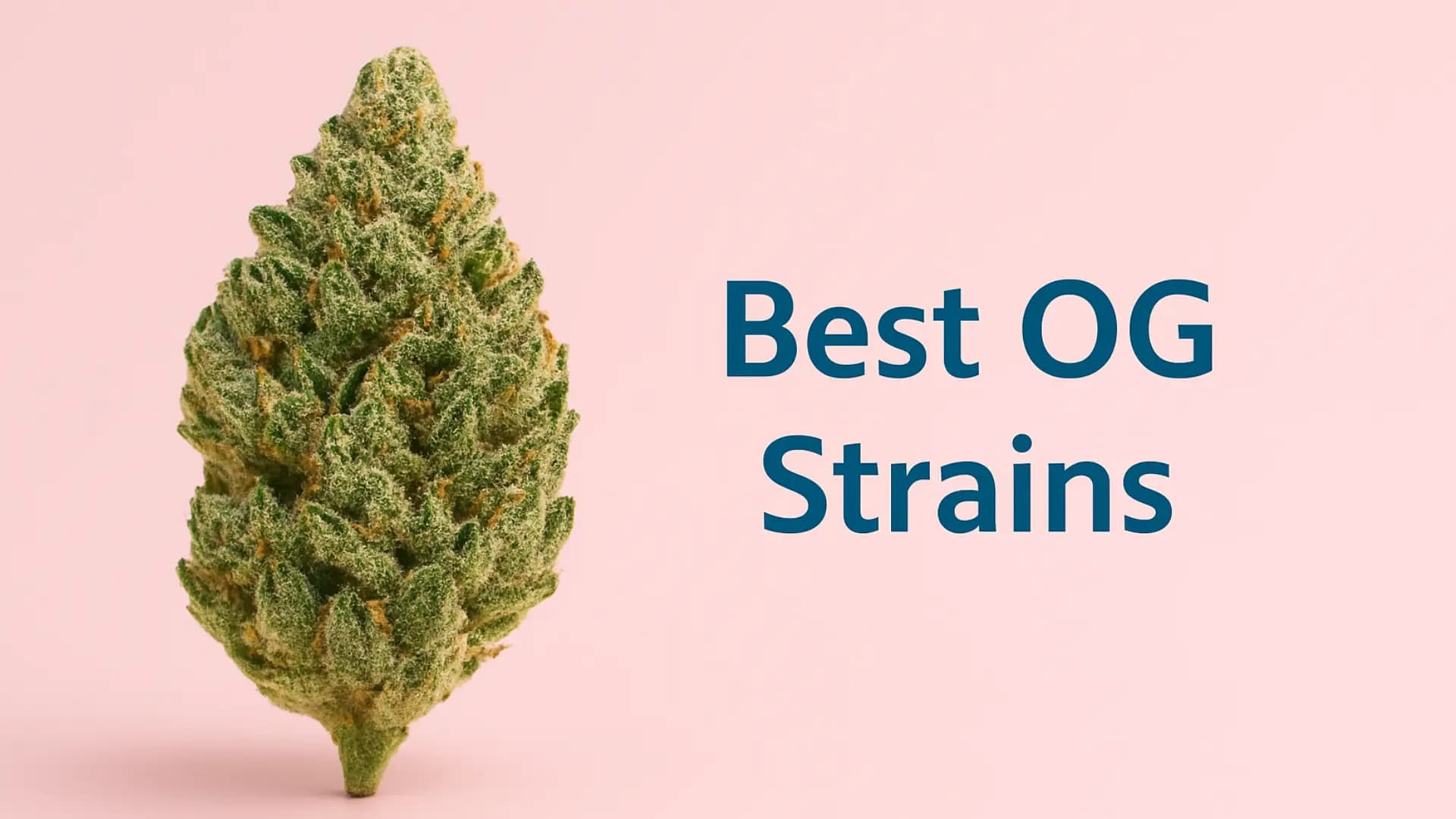 Top 10 OG Strains π₯ - BakeBoxx blog article