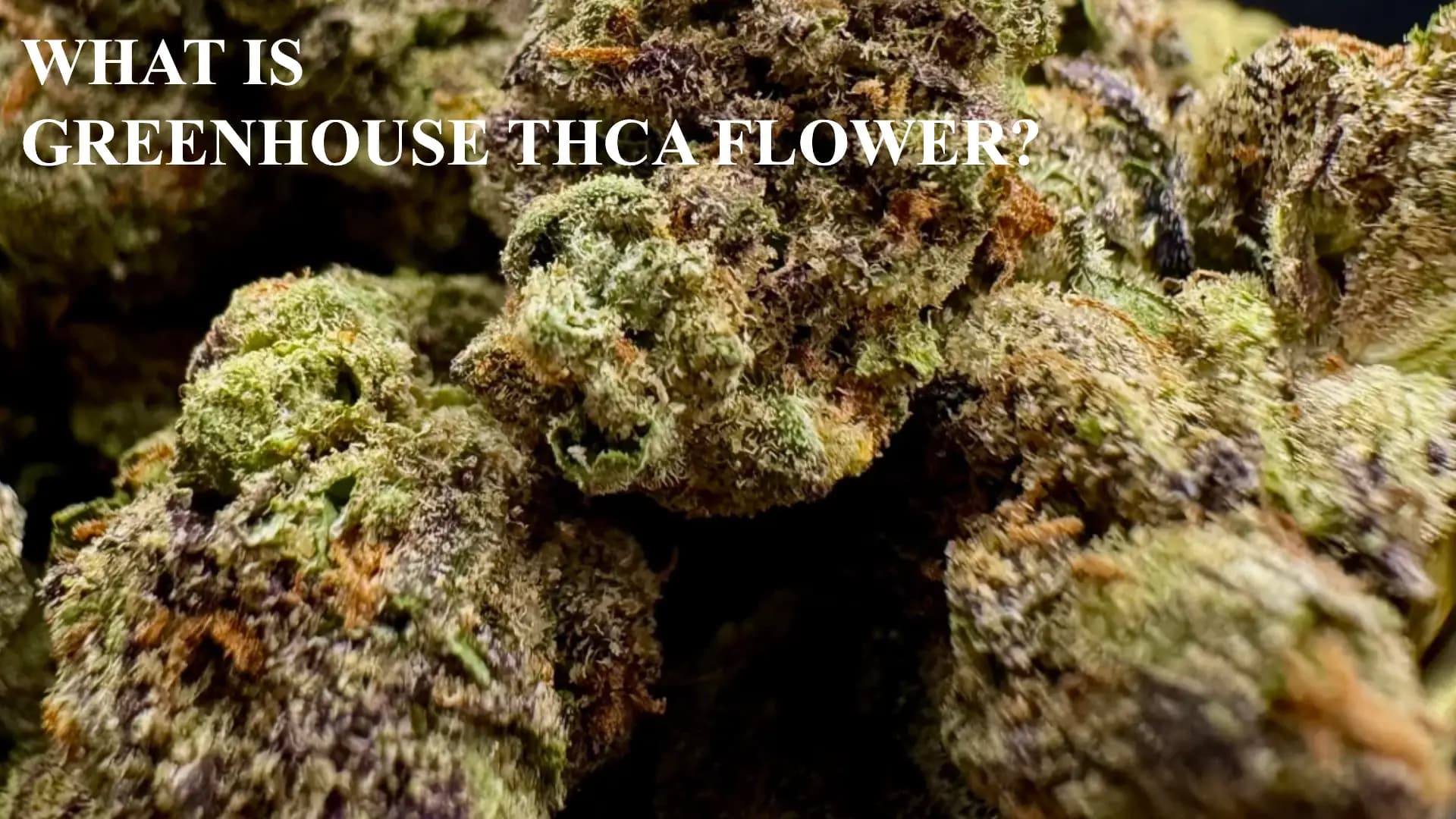 What is Greenhouse Thca Flower? - BakeBoxx blog article