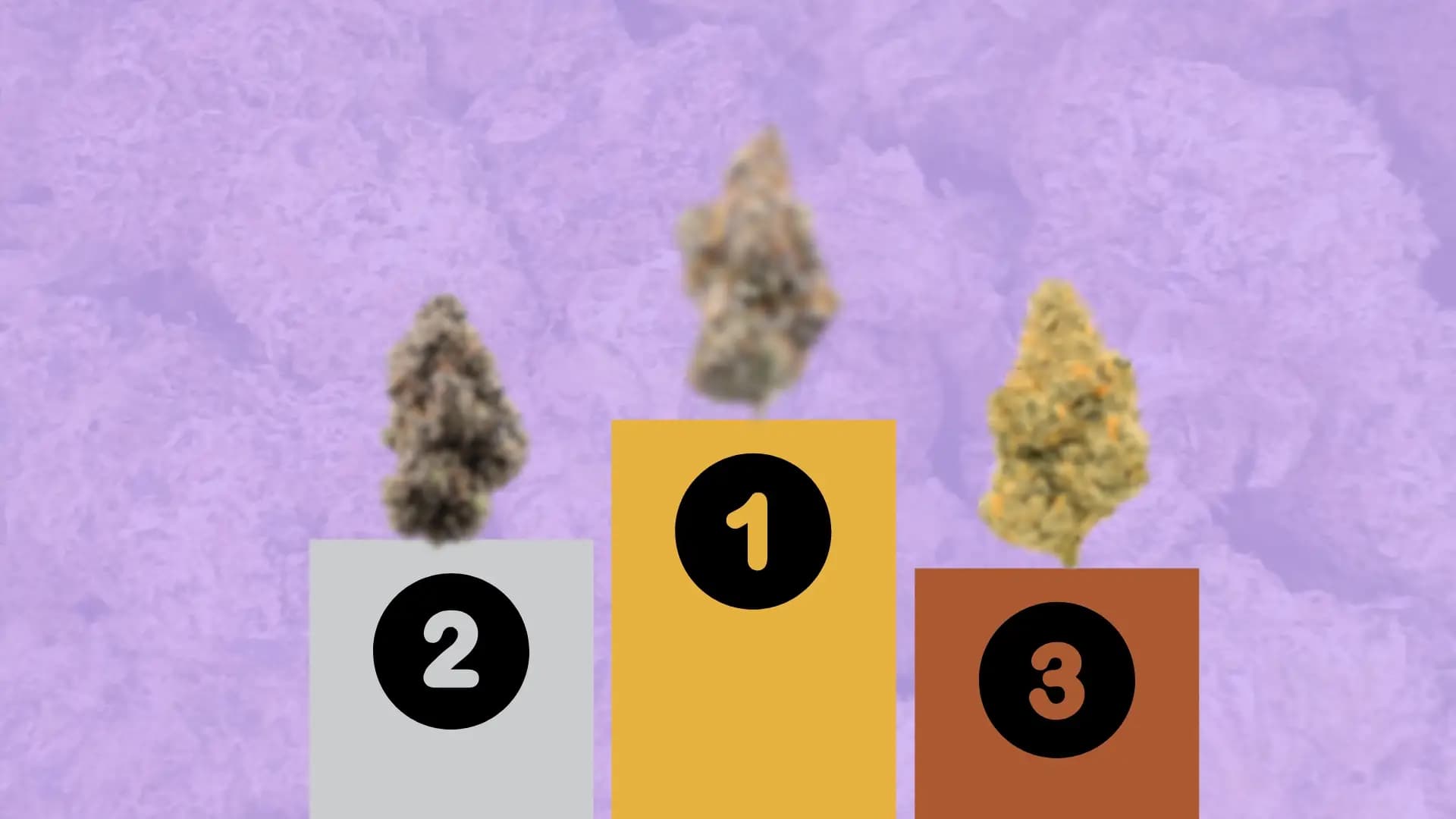 Our Best THCA Flower for 2025 - BakeBoxx blog article