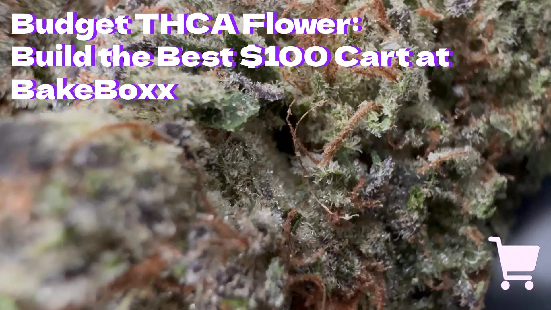 Budget THCA Flower: Build the Best $100 Cart at BakeBoxx - BakeBoxx blog article